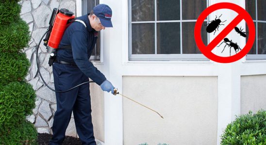 Yeniçamlık Gümüşkurt İlaçlama böcek ilaçlama ve haşere kontrolü — ilaclama-tr.com